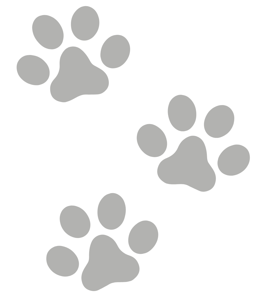 A black paw prints on a transparent background