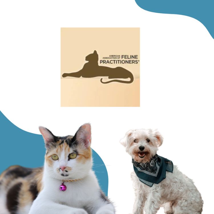 American Association of Feline Practitioners logo