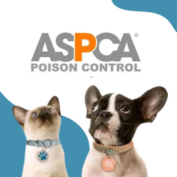 ASPCA Poison Control logo