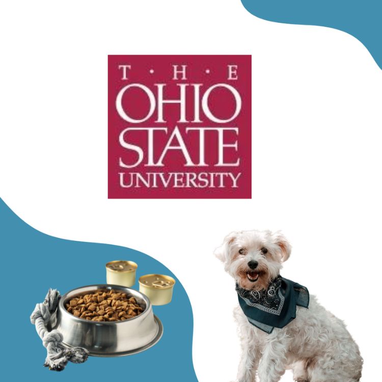 Ohio State University logo