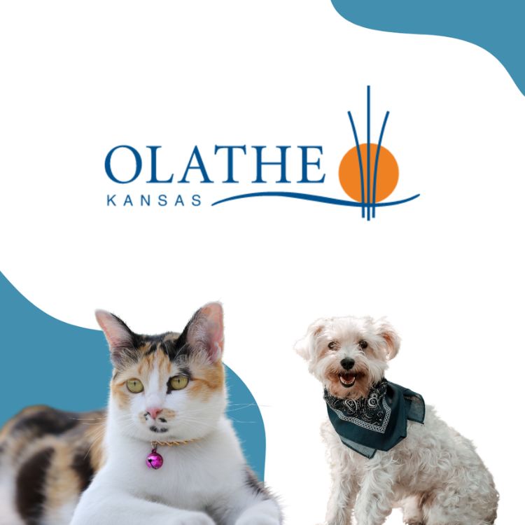 Olathe Logo