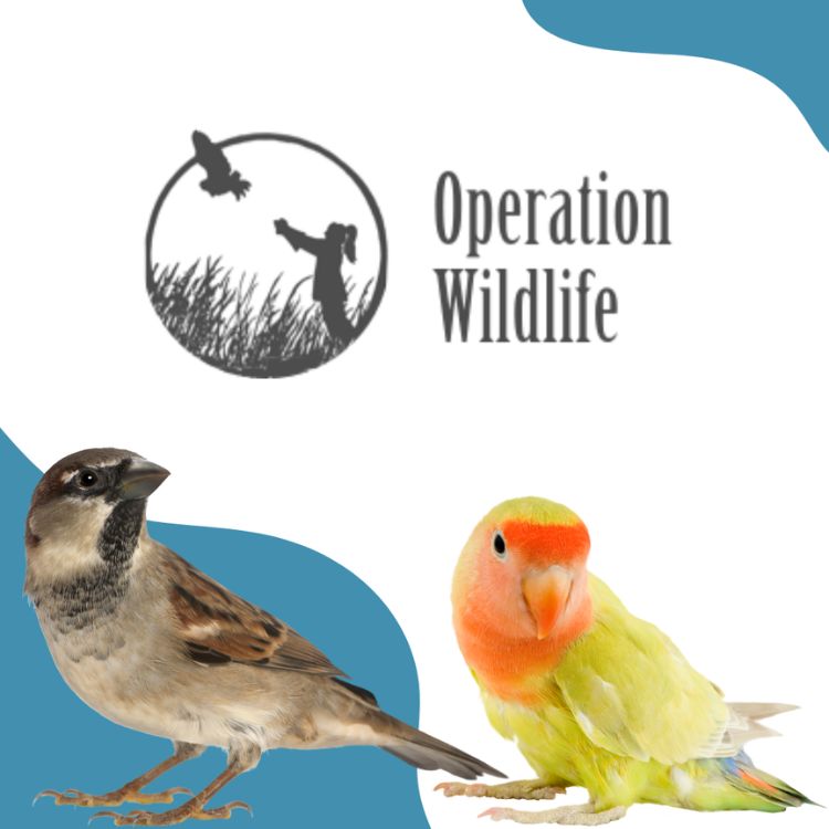 operation wildlife logo