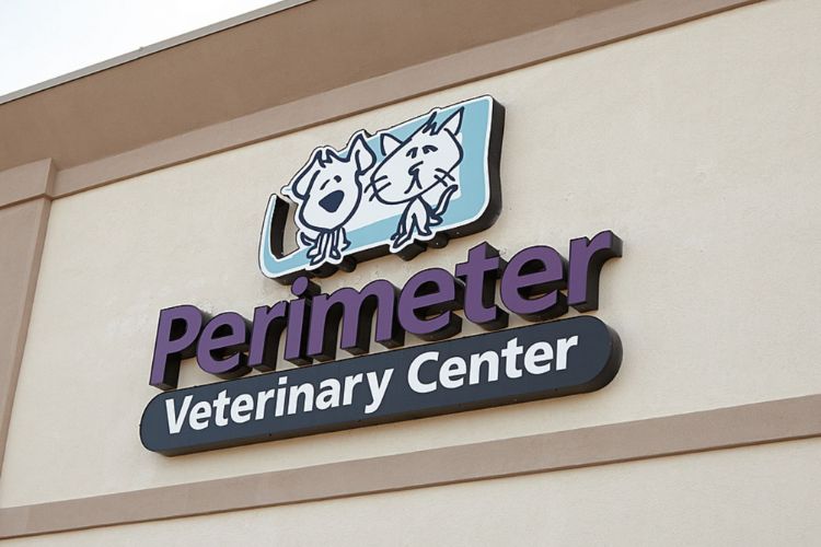 Perimeter Veterinary Center Home