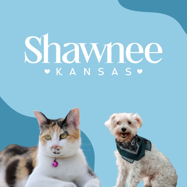 shawnee logo