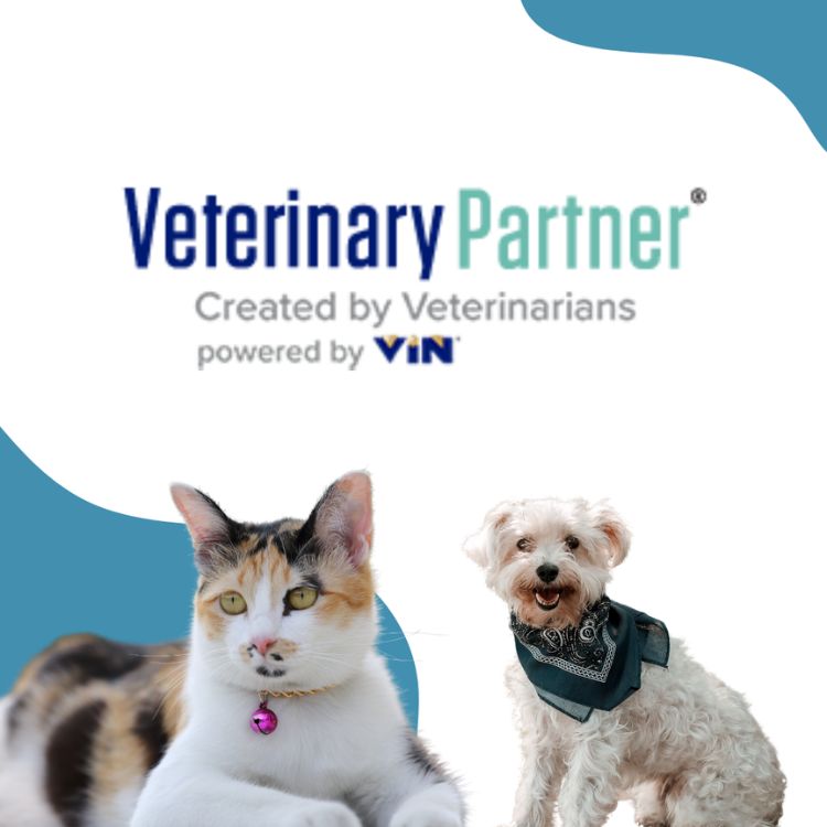 Veterinary Partner Logo