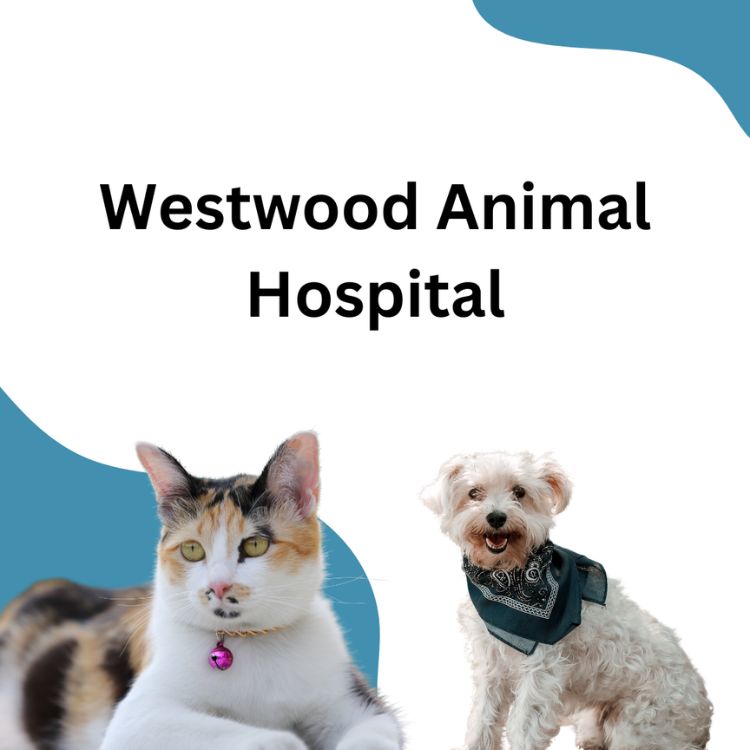 Westwood Animal Hospital logo