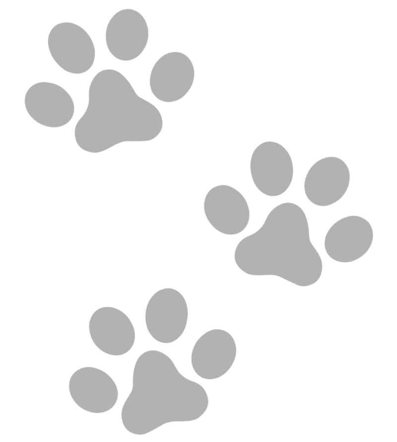 A-black-paw-prints-on-a-transpar (1) A black paw prints on a transparent background